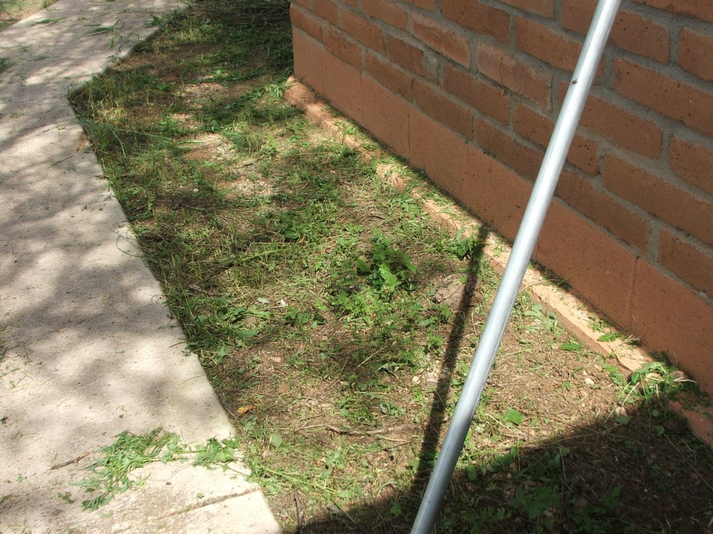 DSCF1433